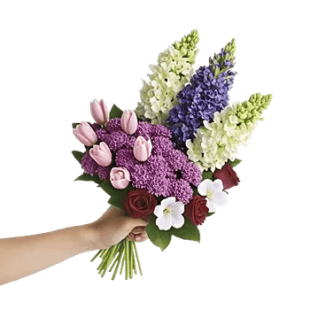 Blossom Harmony Display