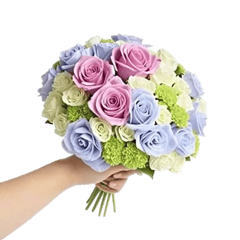 Pastel Blossom Grace