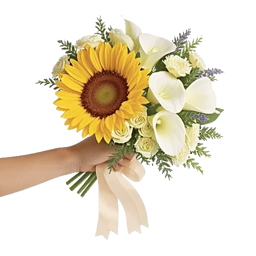 Radiant Bloom Cascade