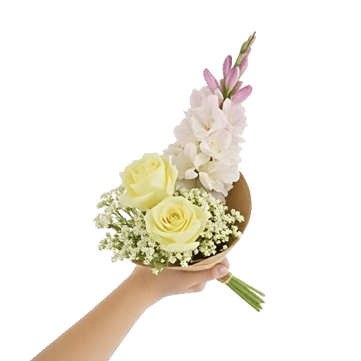Ivory Garden Grace