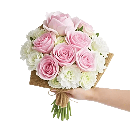 Pastel Pink Roses