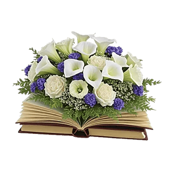 Elegant Calla Lilies