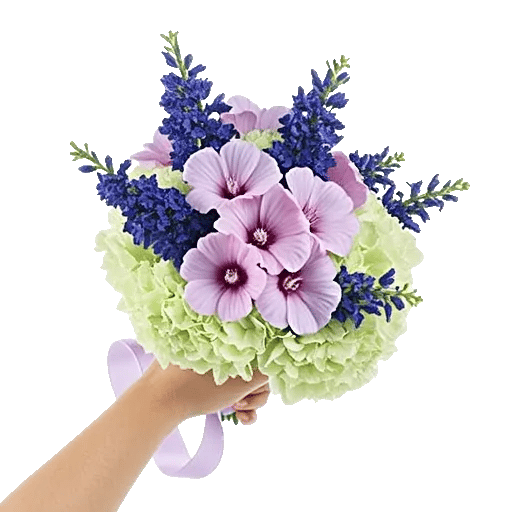 Blossom Petal Serenity