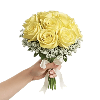 Blossom Harmony Display