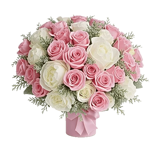 Pink Pastel Roses
