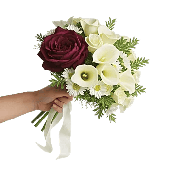 Delicate Petal Cascade