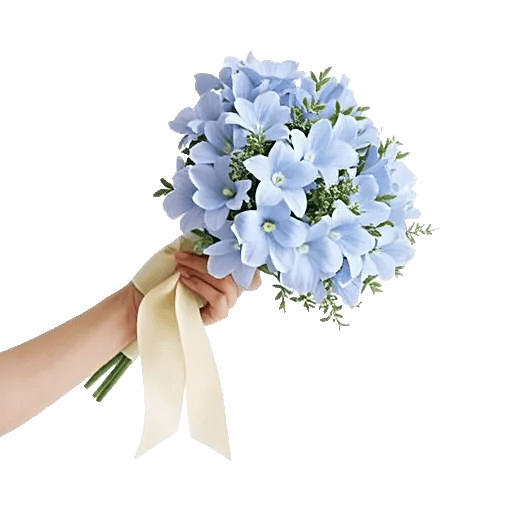 Delicate Petal Cascade