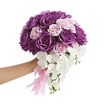 Orchid Bloom Cascade