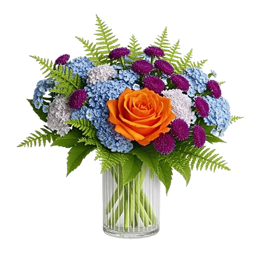 Petal Radiance Bliss