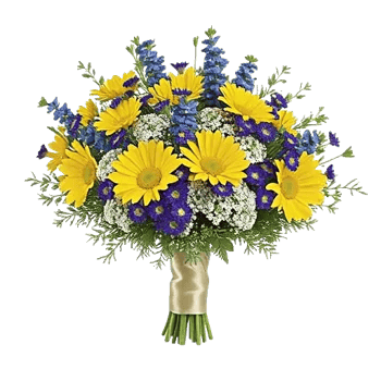 Daisy Meadow Spread