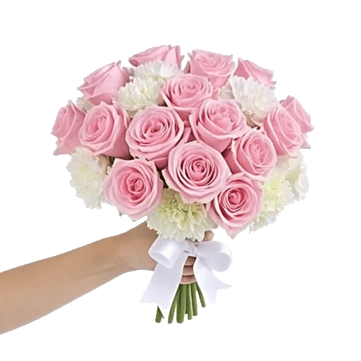 Pastel Pink Roses