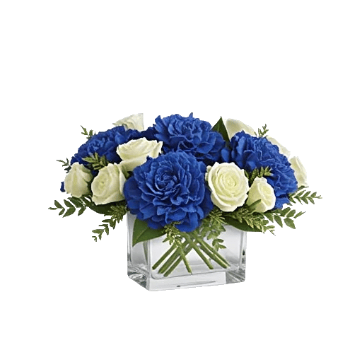 Elegant Blue Roses