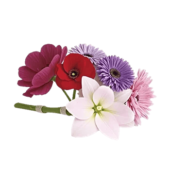 Ivory Blossom Radiance