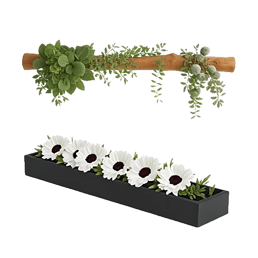 Delicate Petal Cascade