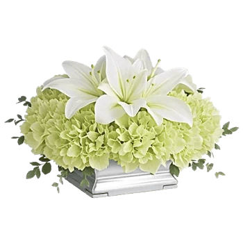 Graceful Lily Display