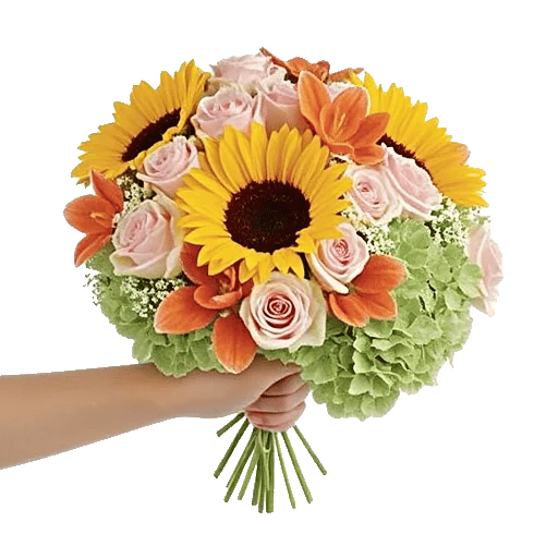 Serene Petal Harmony