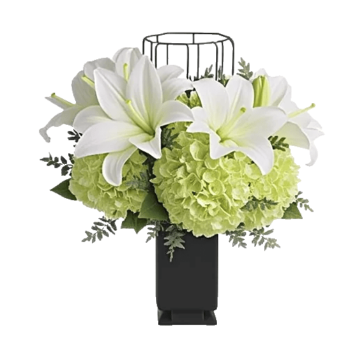 Ivory Blossom Radiance