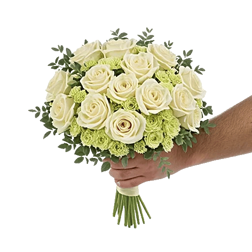 Ivory Garden Grace