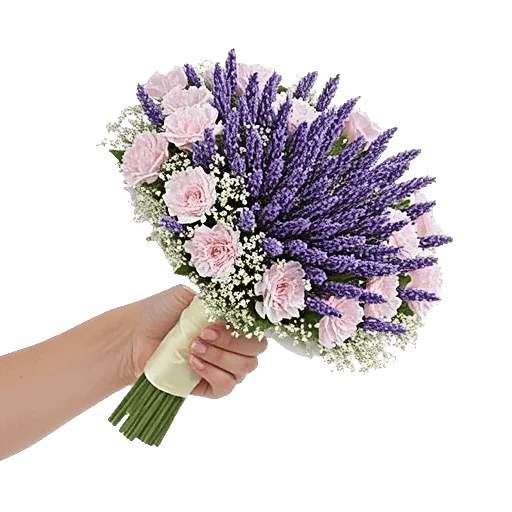 Lavender Bloom Grace