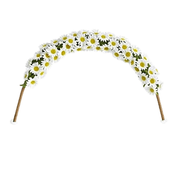 Delicate Petal Cascade