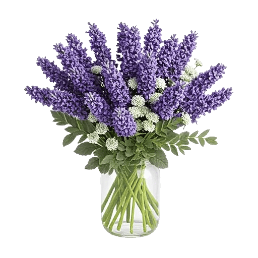 Lavender Bloom Grace