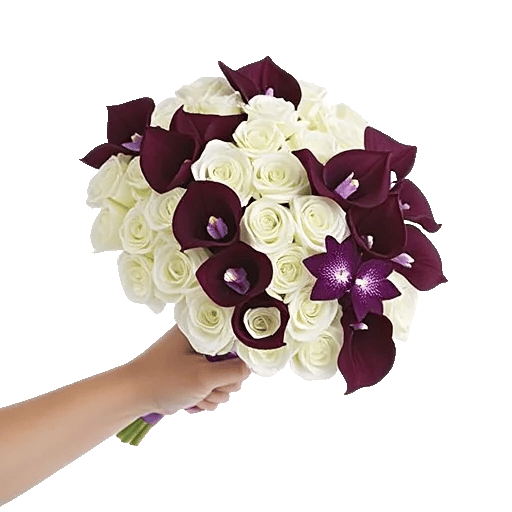 Elegant Calla Lilies