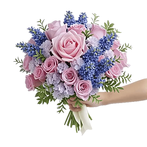 Blushing Rose Symphony