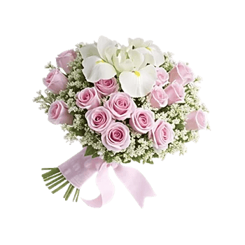 Ivory Blossom Radiance