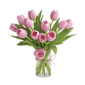 Velvet Tulip Display