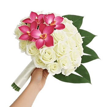 Modern White Orchids