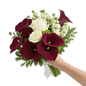 Elegant Calla Lilies
