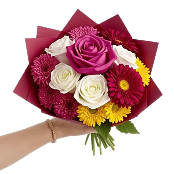 Crimson Rose Elegance