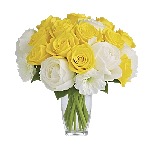 Petal Radiance Bliss