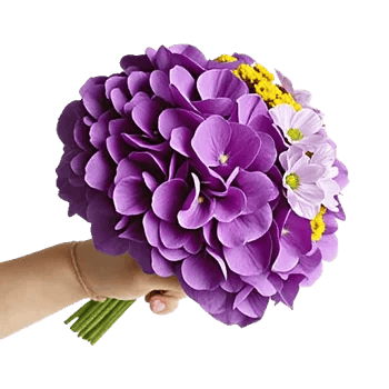 Serene Petal Harmony