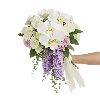 Orchid Bloom Cascade