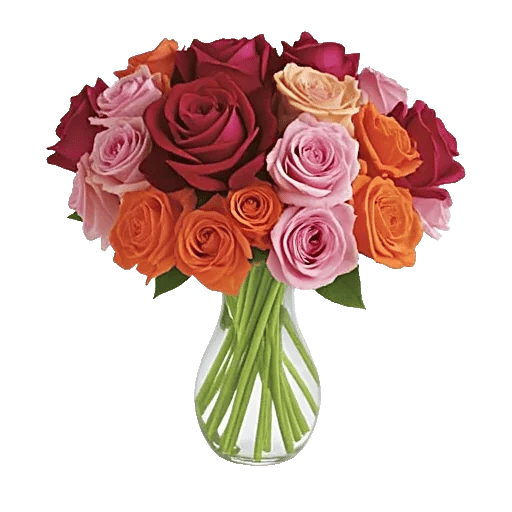 Radiant Rose Symphony