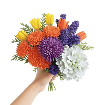 Petal Harmony Bliss