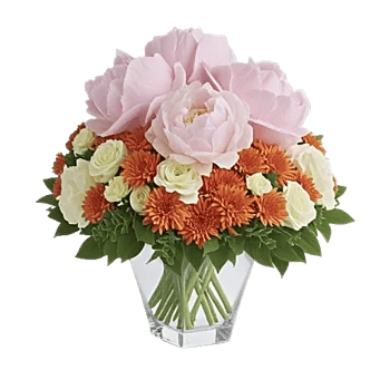 Petal Radiance Bliss