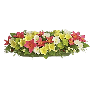 Delicate Petal Cascade