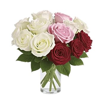 Radiant Rose Symphony