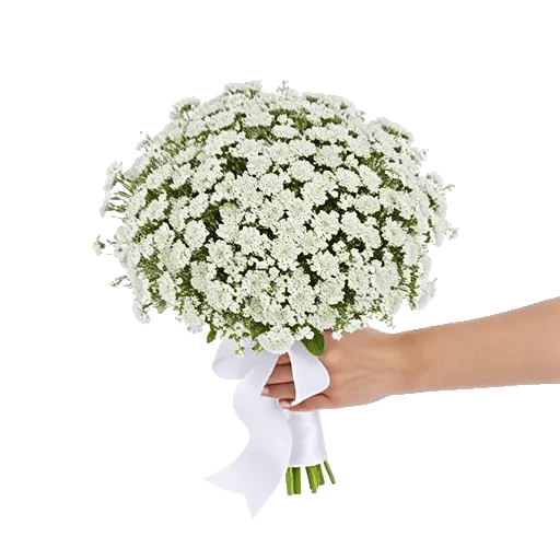 Blossom Radiant Whisper