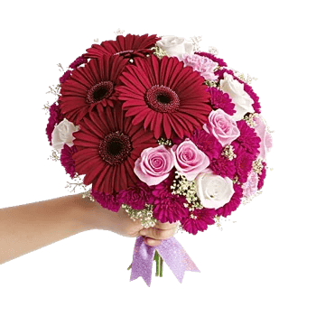 Petal Harmony Bliss