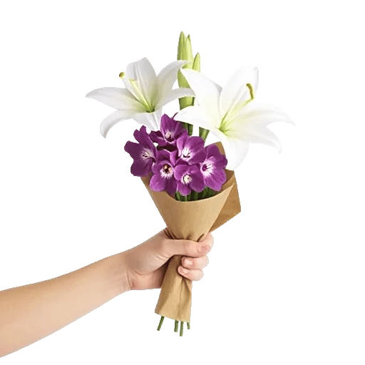 Minimalist White Orchids