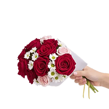 Crimson Rose Elegance