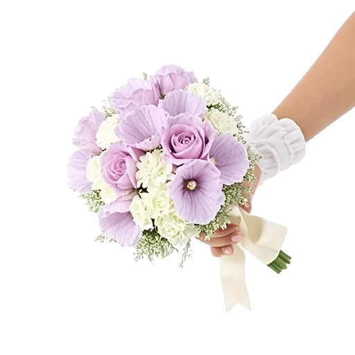 Blushing Rose Symphony