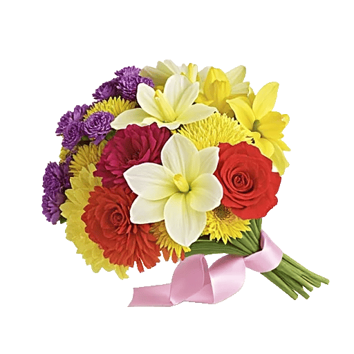 Blossom Harmony Display