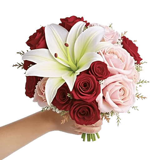 Ivory Blossom Radiance