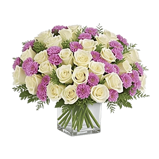 Ivory Blossom Radiance