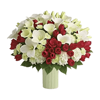 Elegant Calla Lilies