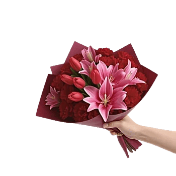 Scarlet Tulip Splendor